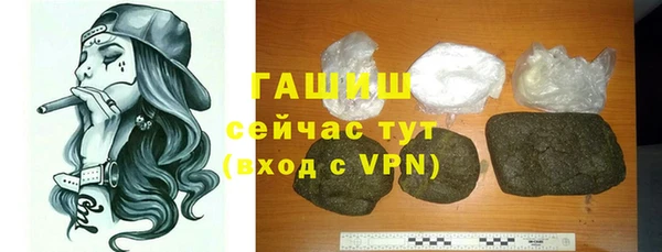 хмурый Аркадак