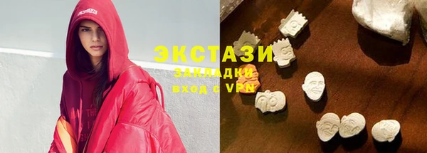 хмурый Аркадак
