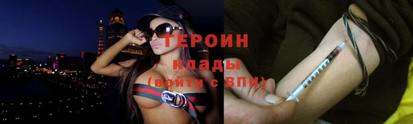 хмурый Аркадак