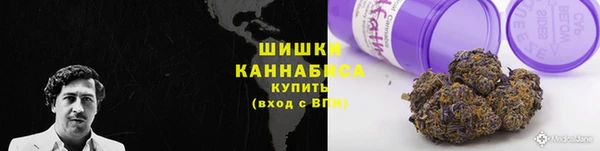 хмурый Аркадак