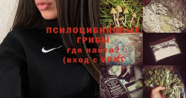 бошки Армянск