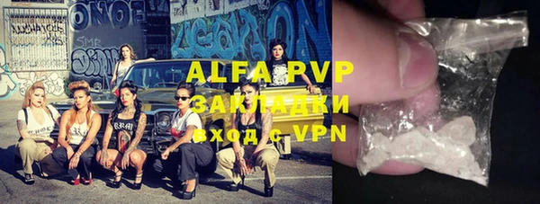 хмурый Аркадак