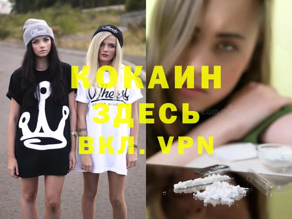 хмурый Аркадак
