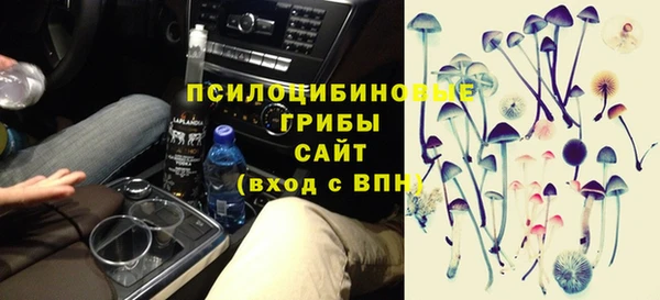 бошки Армянск