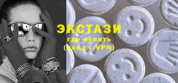 хмурый Аркадак