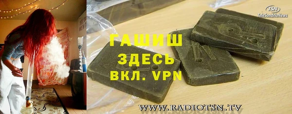 хмурый Аркадак
