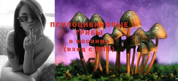 mix Арсеньев