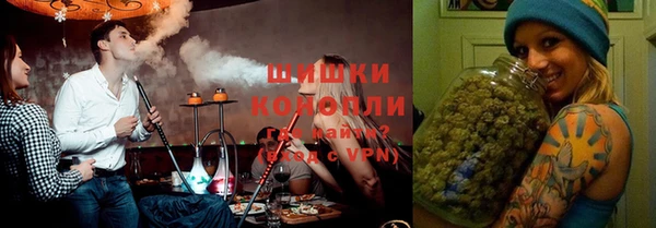 хмурый Аркадак